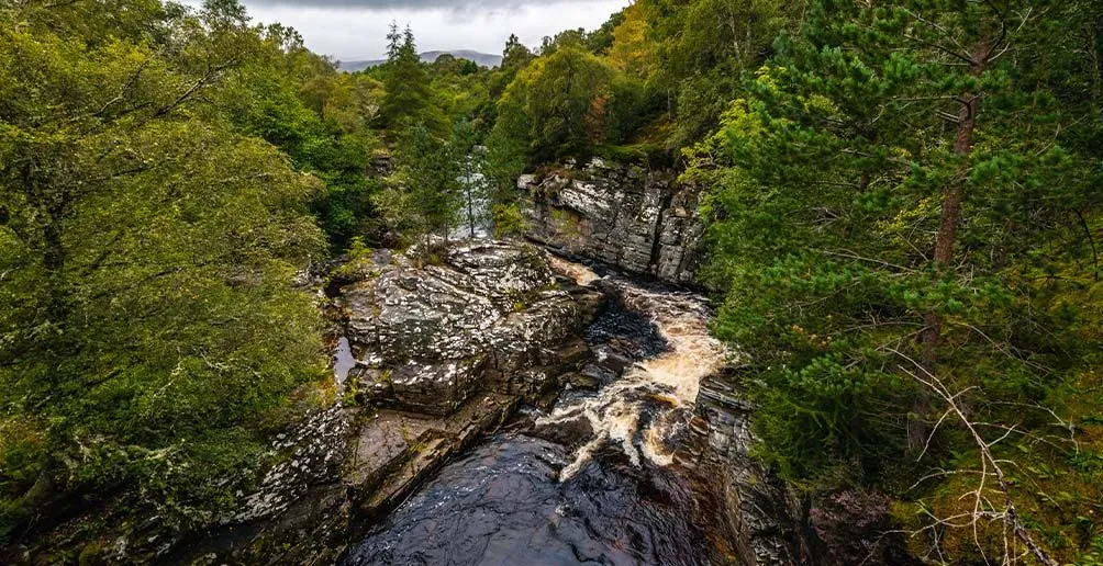 A stream running through a mountain covered by green trees