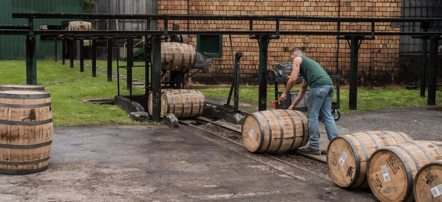 Casks Illustration