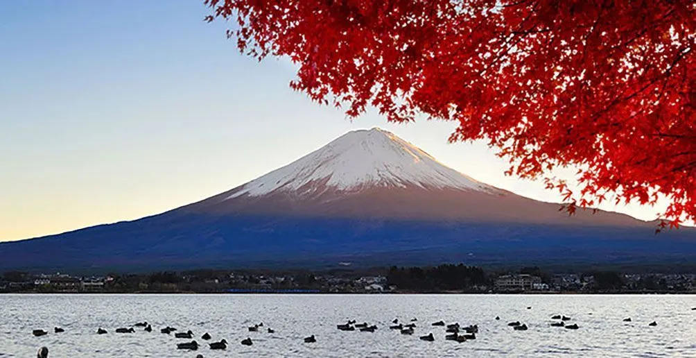 Ein Bild des Berges Fuji mit Schnee auf dem Gipfel vom See aus gesehen, aufgenommen hinter einem roten Ahornbaum