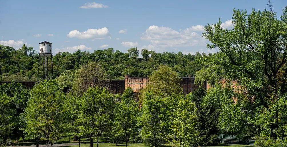 Distillery building made out of brick and its water tank hidden among nature