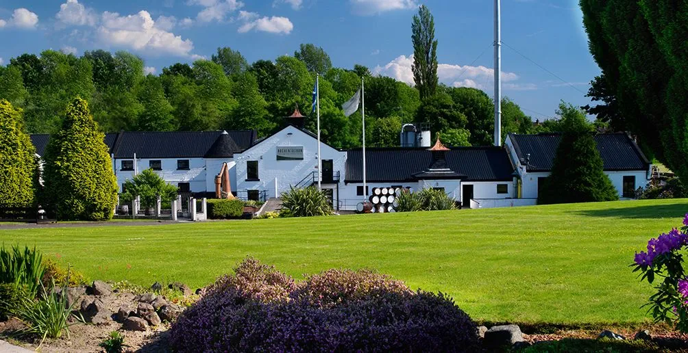 White buildings of Auchentoshan distillery with dark roofs surrounded by lots of nature viewed from the front yard