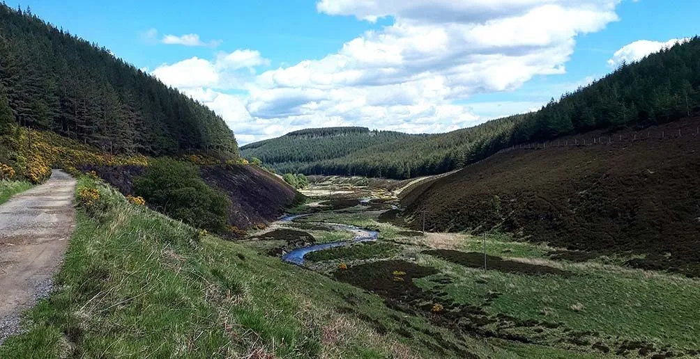 A little stream running through a valley located between hills full of green trees in Speyside, Scotland