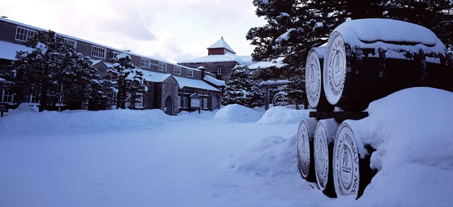 Snow covering Yoichi's distillery building hiding behind trees and casks lying in the front yard