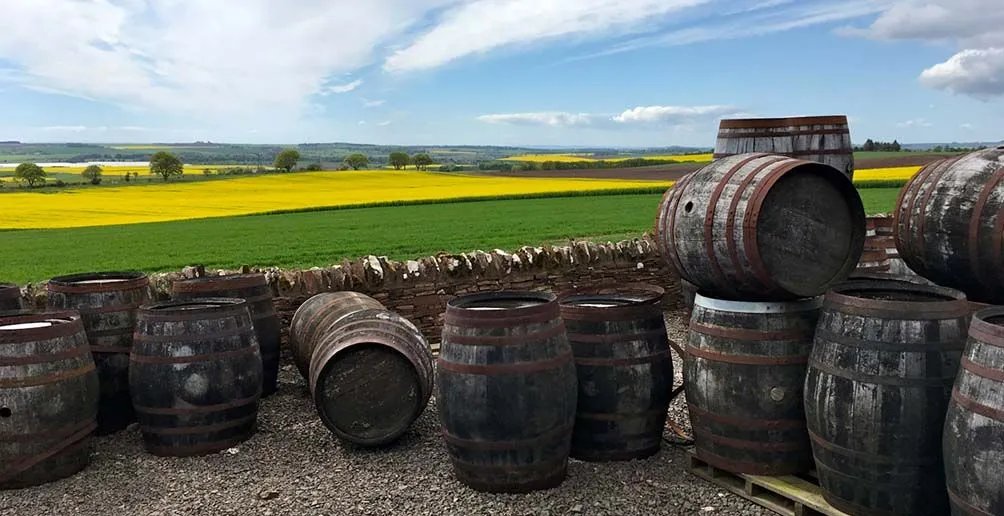 Casks lying outside of Arbikie disitllery overlooking rolling green fields on a nice day