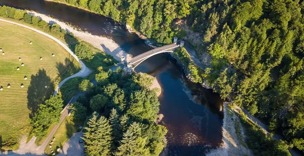 A bridge going over a stream located between a cattle field on the left and a forest on the right