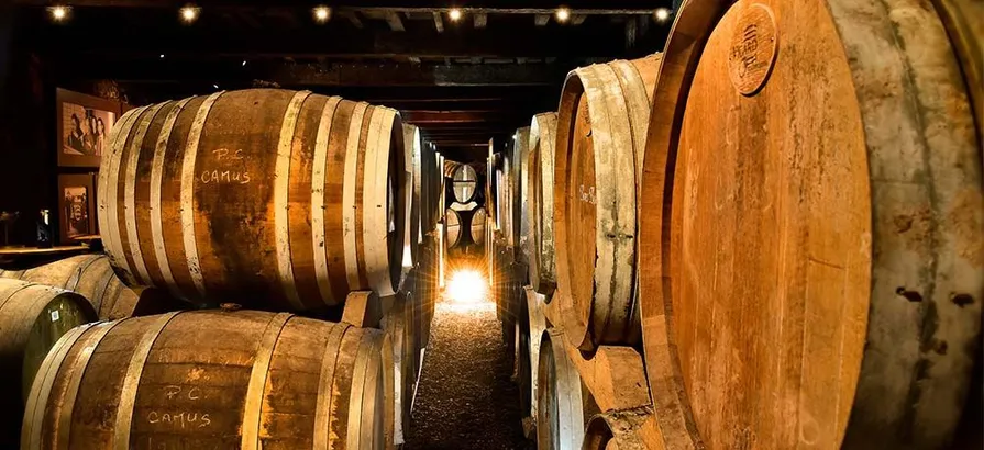 Close view on casks stacked on top of each other in Camus warehouse
