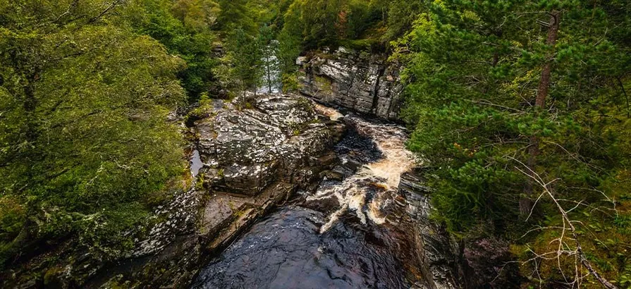 A spring running through a green wood in Speyside region viewed from above