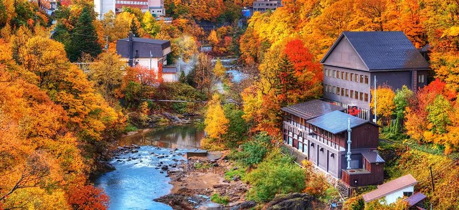 A spring running through a little town surrounded by trees turning yellow in Japan