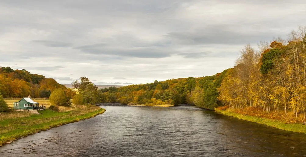 A view of a river with a shed on the left bank surrounded by trees turning yellow in autumn