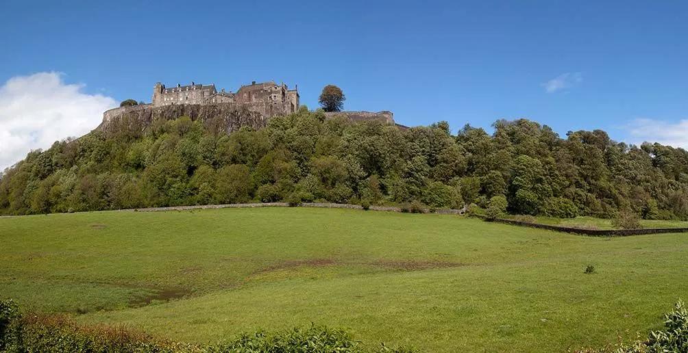 Castle located on a hill surrounded by grass fields and green trees with blue sky in the background