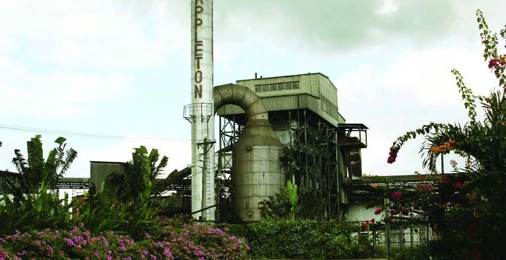 Appleton factory with its name attached on the chimney located among bushes and trees