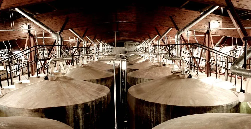 Two rows of mash tuns at Martell distillery