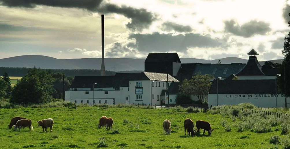 Fettercairn distillery's white buildings with dark roofs located behind a green field with mountains in the background