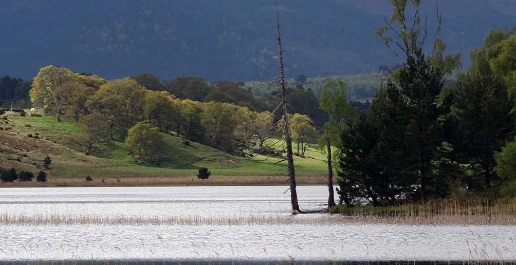 The river Spey running between two banks covered by green nature