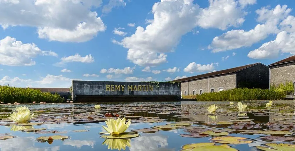 Die Destillerie Remy Martin mit ihrem Namen an der Wand spiegelt sich im Lotusteich vor dem Hintergrund des blauen Himmels