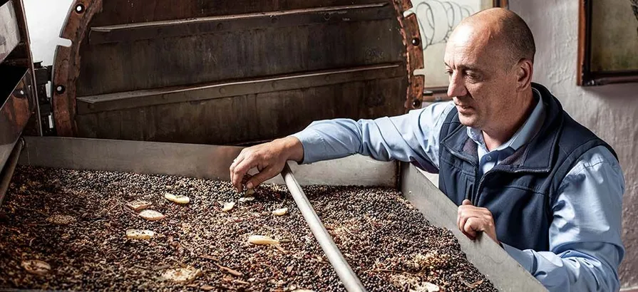 Gin-Meister Simon Buley prüft ein Botanicals-Tablett aus der Kammer