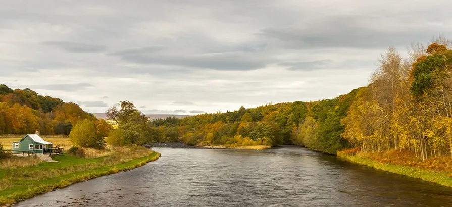 Spey river splitting in two branches surrounded by trees with a shed on the right bank in early autumn