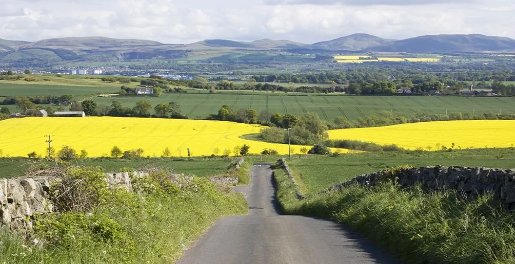A wide view on the landscape of Speyside region with a path leads to green fields and mountains in the background
