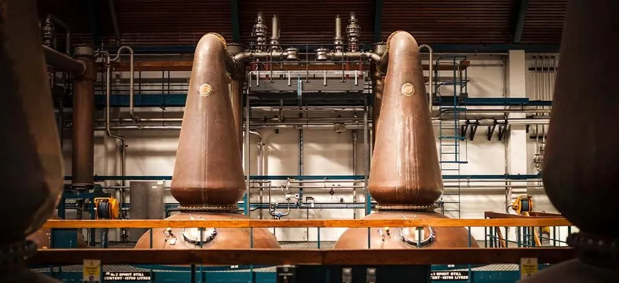 Two of the eight copper pot stills in Auchroisk's still house