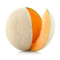 A cantaloupe melone sliced open