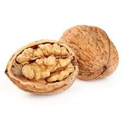 Two walnut halfes