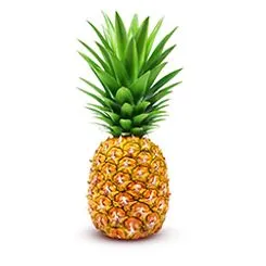 A fresh pineapple