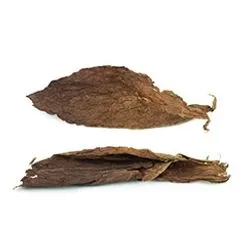 Two dried tobacco leaves